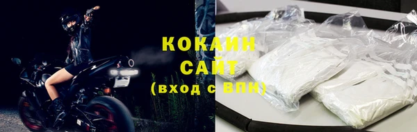 Альфа ПВП Ельня