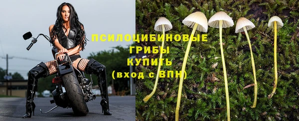 MESCALINE Елабуга