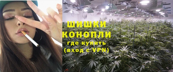 Альфа ПВП Ельня