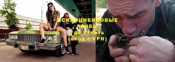 Альфа ПВП Ельня